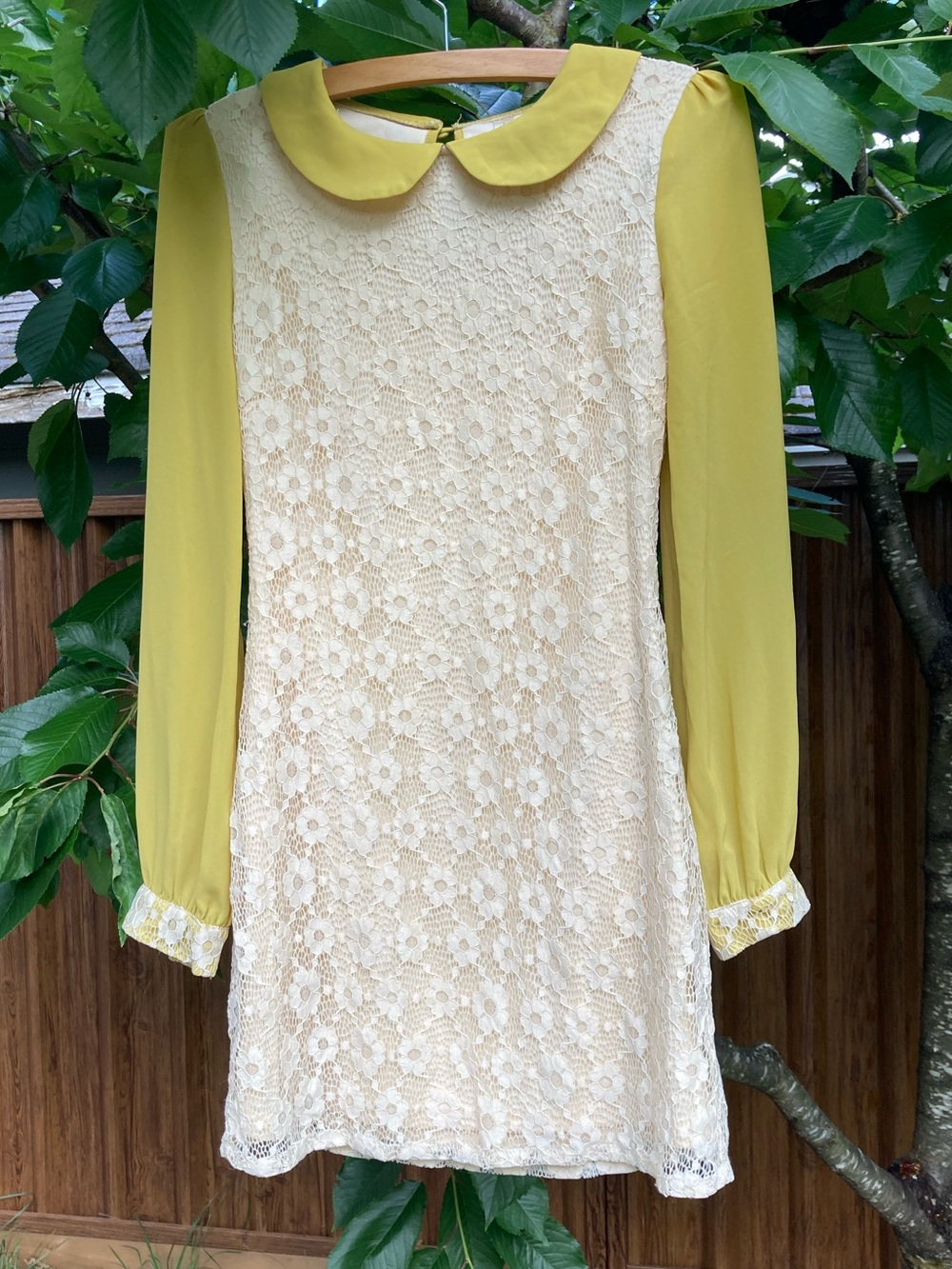 Lace Overlay Dress with Yellow Sleeves and Collar